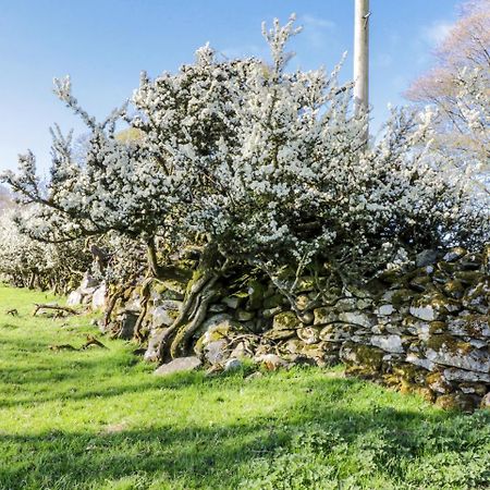 5 Ceirnioge Cottages Betws-y-Coed Zewnętrze zdjęcie